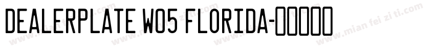 Dealerplate W05 Florida字体转换